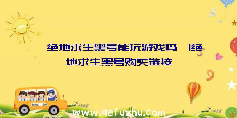 「绝地求生黑号能玩游戏吗」|绝地求生黑号购买链接